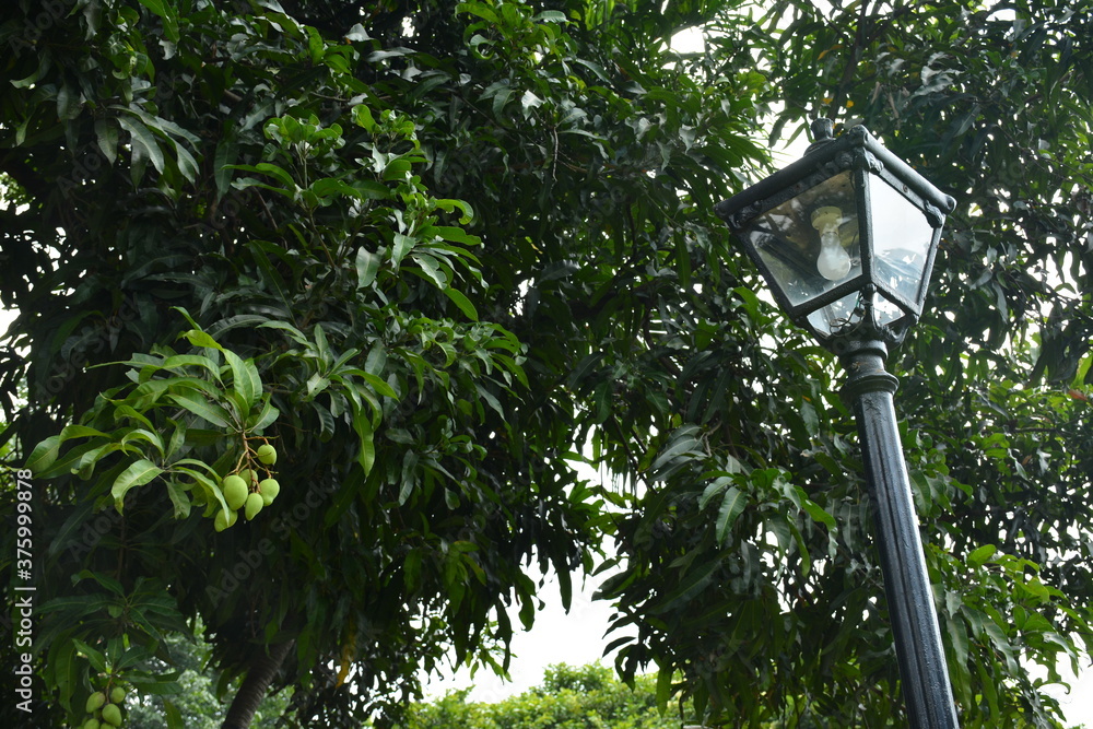 Black steel lamp post install in the outdoor park