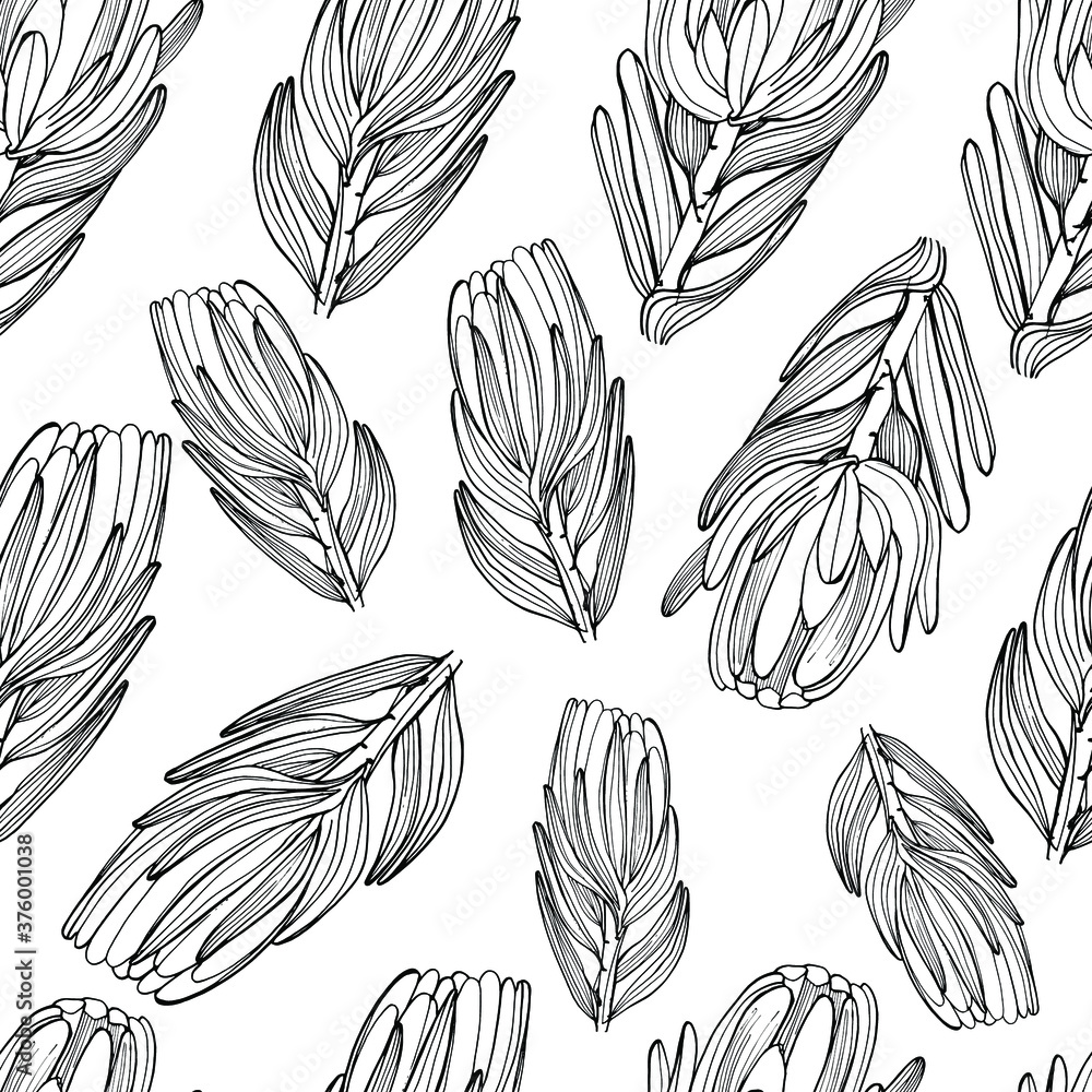 Coloring pattern with African Proteus flowers. Big beautiful flower. Dried flowers, decorated. Coloring book for children and adults with gentle proteas. For textiles, wallpaper, packaging. 