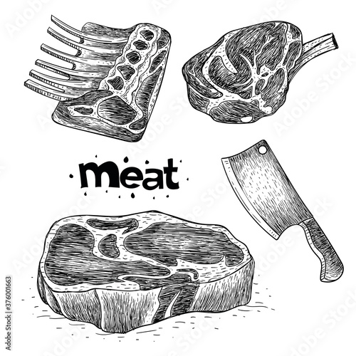 vector beef collection, meat illustration in hand drawn style