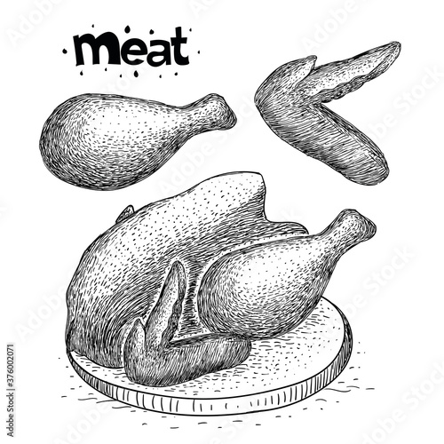 vector chicken meat collection, meat illustration in hand drawn style