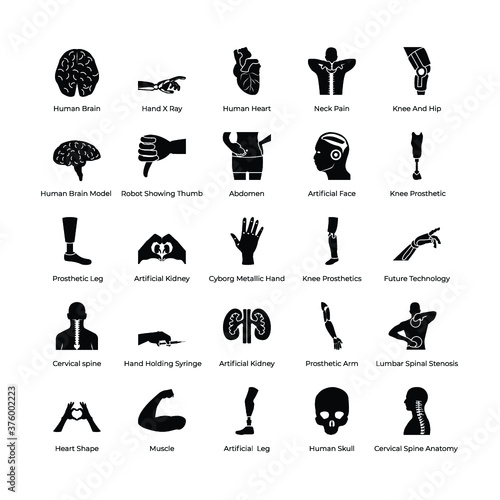 Set Of Orthopedic Prosthesis Medical Implants Artificial Body Parts 