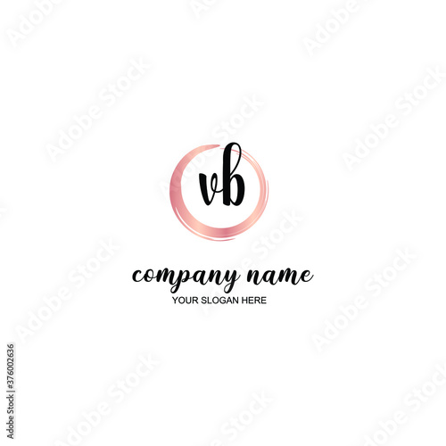 VB Initial handwriting logo template vector