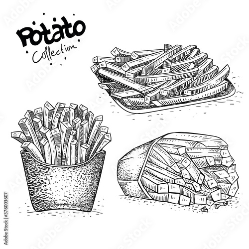 vector snack potato collection, food illustration in hand drawn style