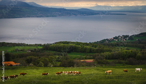 Switzerland landscape. © Alexandru Staiu