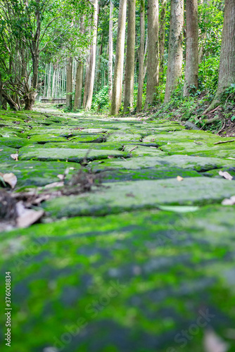 鹿児島県 姶良市 龍門司坂 photo