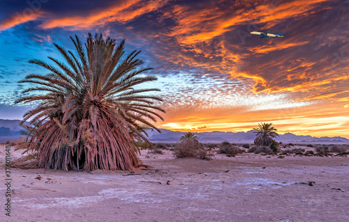 Savannah valley and sand desert after colorful sunset, image depicts beautifu...
