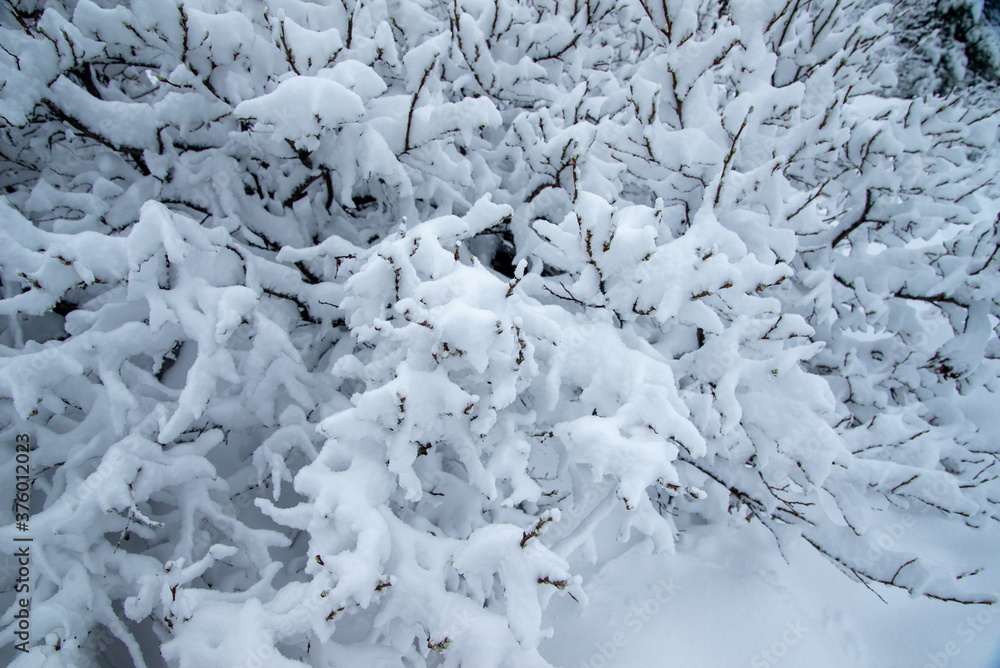 Fototapeta premium Beautiful view of mountains in the Hamar Daban area. Winter panorama.Spring in the mountains of Khamar-Daban, Eastern Siberia, Irkutsk region. 