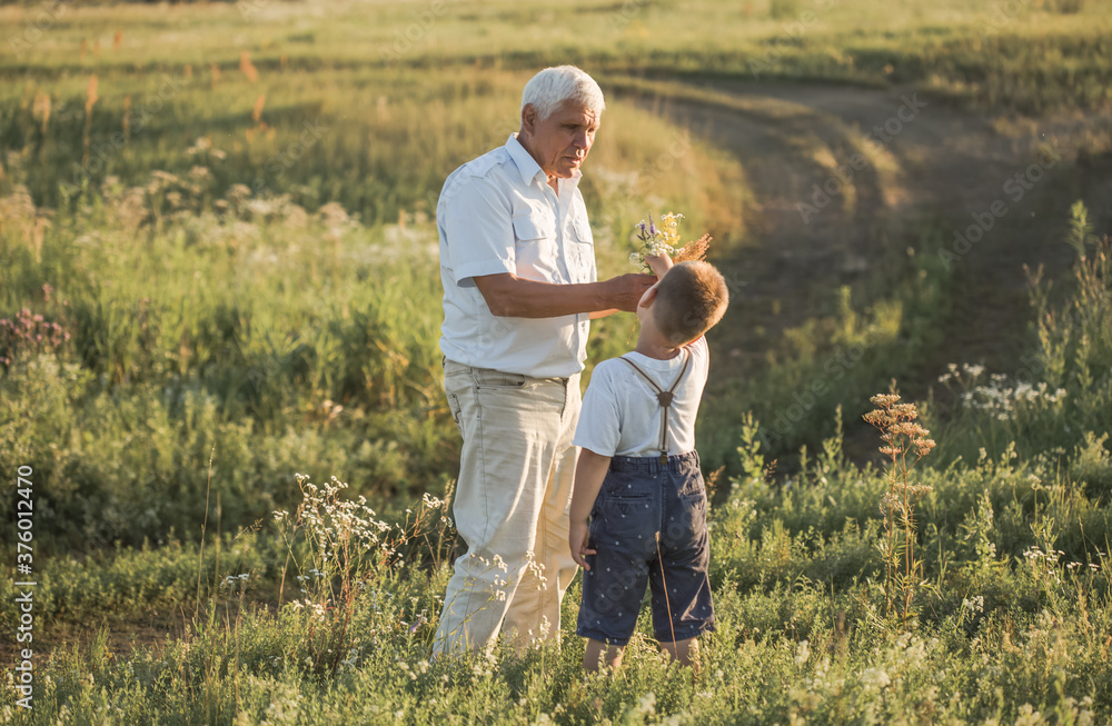 happy grandfather and grandson walking at summer meadow. Cute boy gives flowers his old grandpa happy grandfather and grandson walking at summer meadow. Cute boy gives flowers his old grandpa