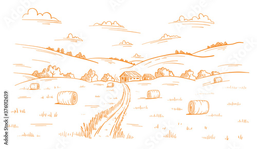 Field road. Rural landscape. Mown straw grass. Hand drawn sketch. Countryside track. Contour vector line. Autumn panorama.