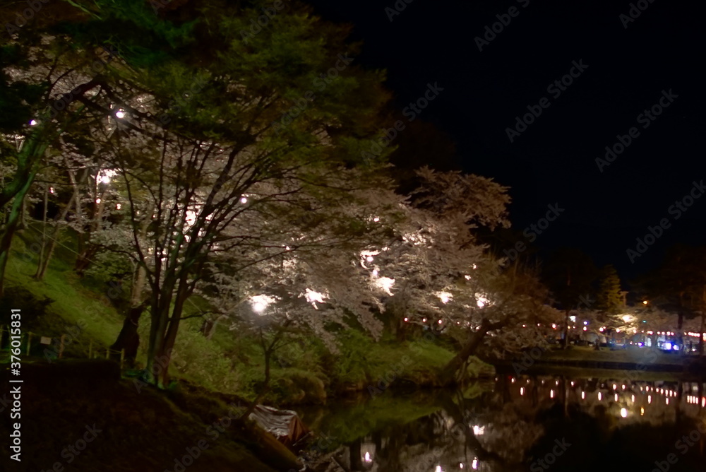 Scenic view of Illumination of Takada Castle Ruins Park in Sakura Spring Season, Joetsu, Niigate