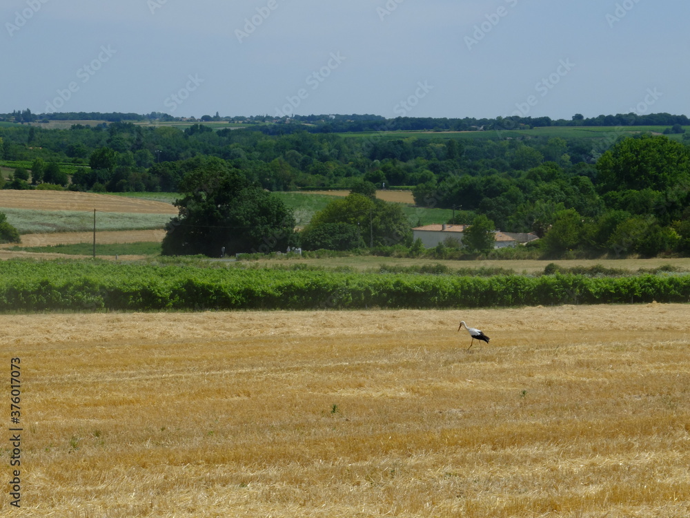 de ROYAN à VITREZAY à vélo de ROYAN à VITREZAY à vélo