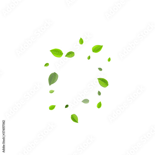 Mint Foliage Organic Vector Banner. Swirl Greens 