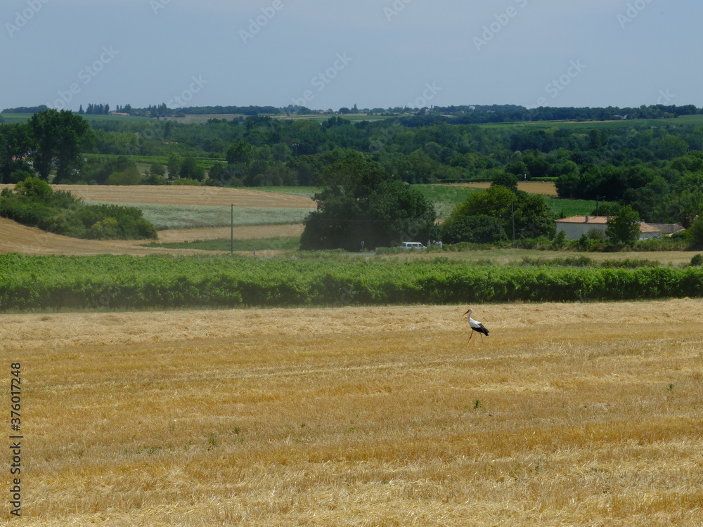 Obraz premium de ROYAN à VITREZAY à vélo