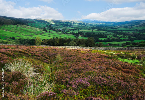 North York Moors with heather in bloom, fields, under blue sky. Glaisdale, UK.