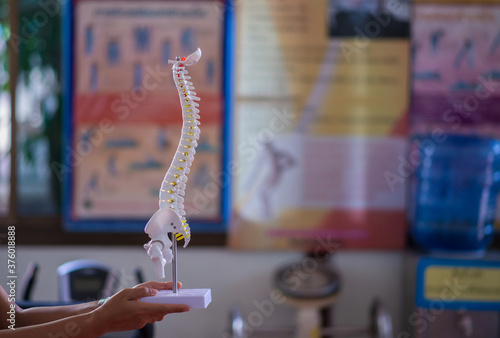 closeup of a physiotherapist operating with a spine model with pelvis element with spine image. A concept of spine diseases treatment.