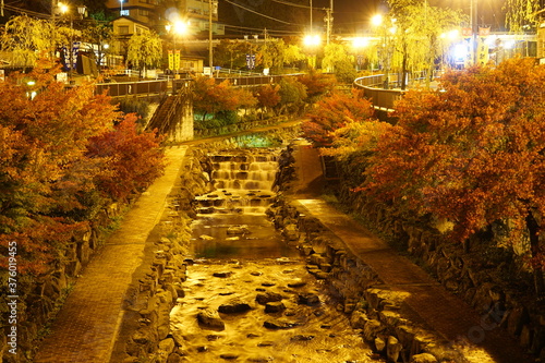 Beautiful autumn city lights in Gero-Onsen  Gifu  Japan.