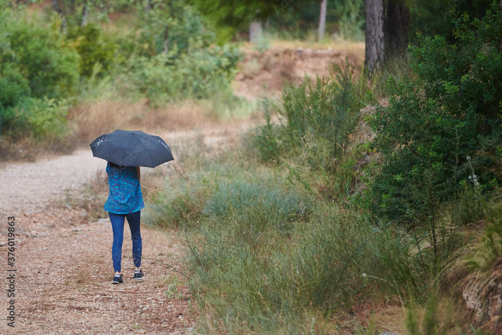 woman walking in the rain with black umbrella in rural setting woman walking in the rain with black umbrella in rural setting