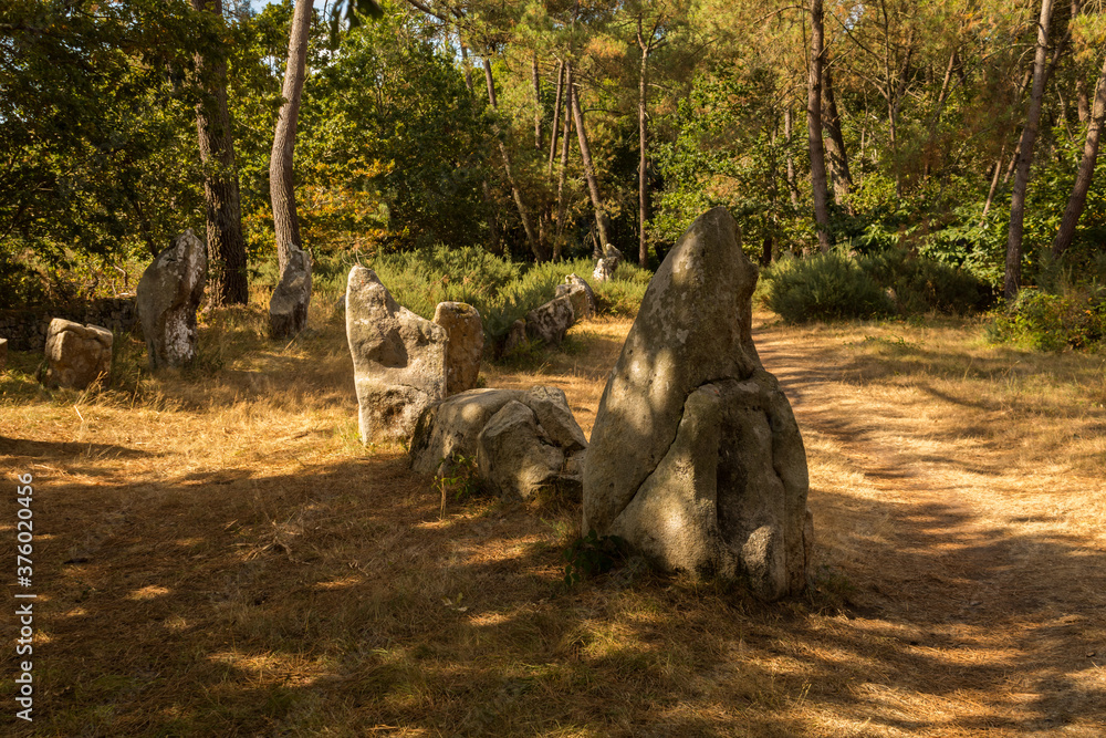 Alignement de menhirs en foret a Carnac Bretagne sud golfe Morbihan site néolithique France