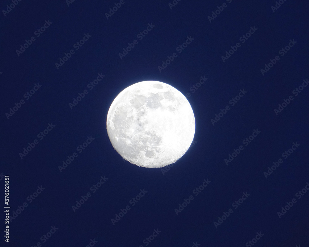 The moon The moon