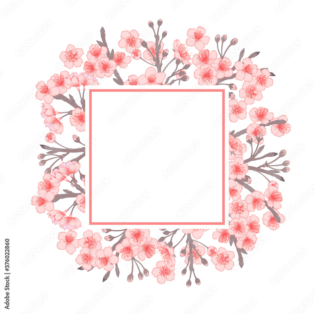 Fototapeta premium Vector sakura trees blomming collections frames. Set of cherry flowers