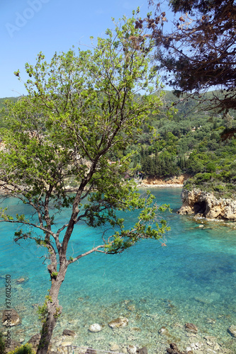 Fototapeta Naklejka Na Ścianę i Meble -  Bucht bei paleokastritsa, Korfu