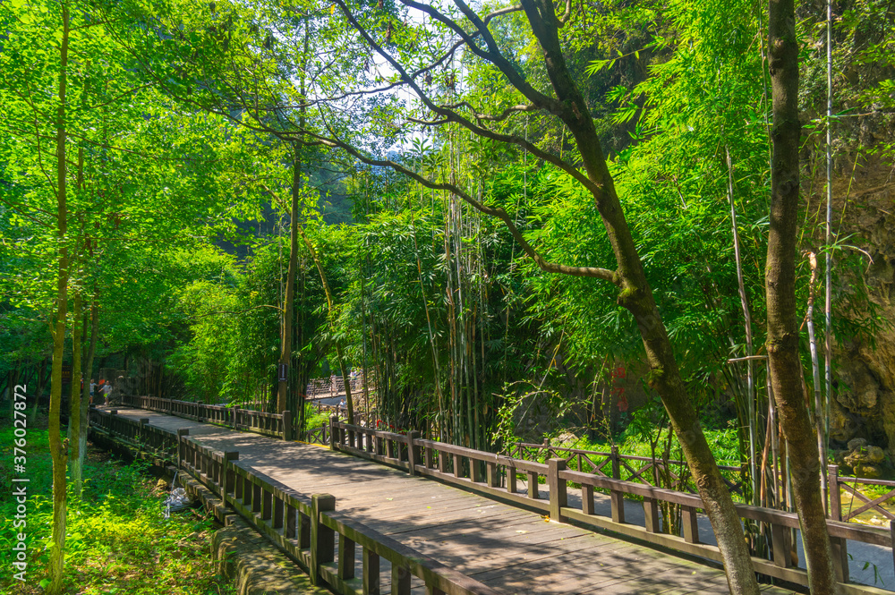 Summer scenery of the Three Gorges Waterfall in Yichang, Hubei, China Summer scenery of the Three Gorges Waterfall in Yichang, Hubei, China