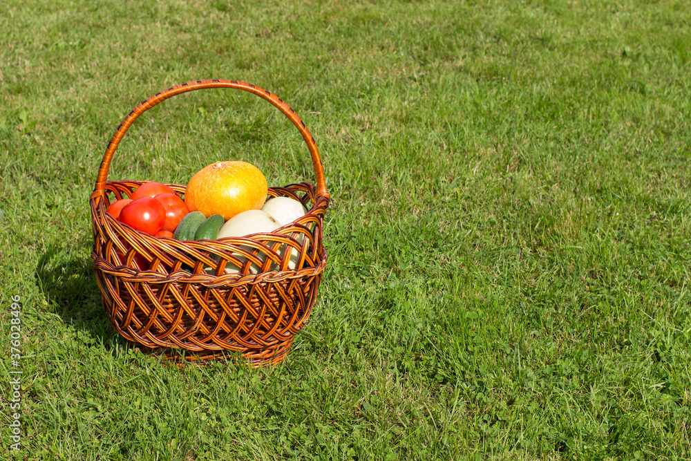 Harvest vegetables in a basket on green grass background with empty space. Harvest vegetables in a basket on green grass background with empty space.