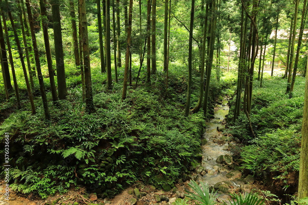 銀山地区 石見銀山 島根 銀山地区 石見銀山 島根