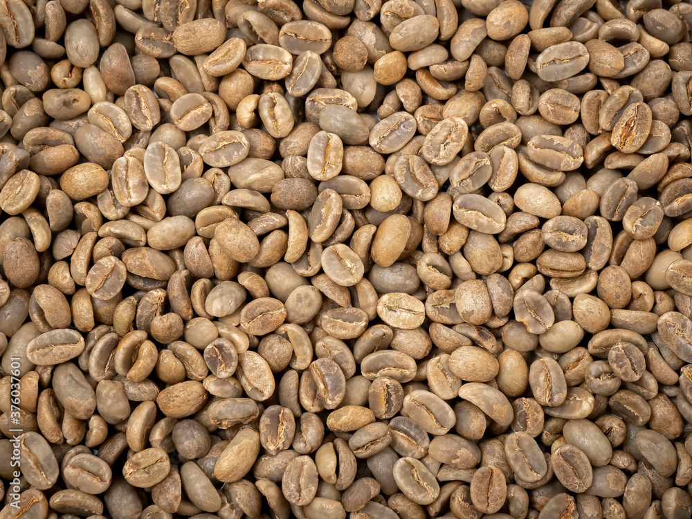 raw not roasted coffee beans from africa raw not roasted coffee beans from africa