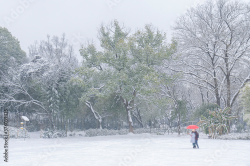 Wuhan East lake scenic spot snow scene in winter