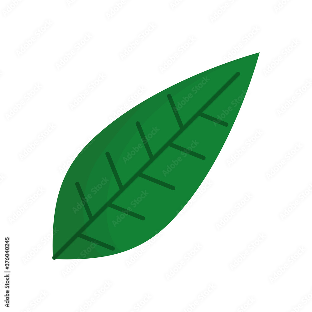 leaf plant ecology isolated icon leaf plant ecology isolated icon