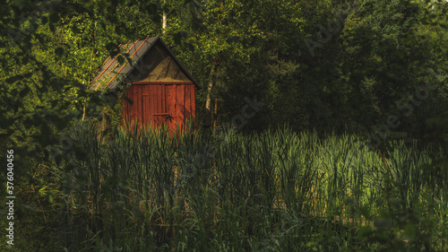 Dom w głębi lasu  © spacer.z.aparatem 