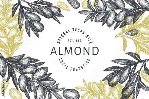 Hand drawn sketch almond design template. Organic food vector illustration. Retro nut illustration. Engraved style botanical background.