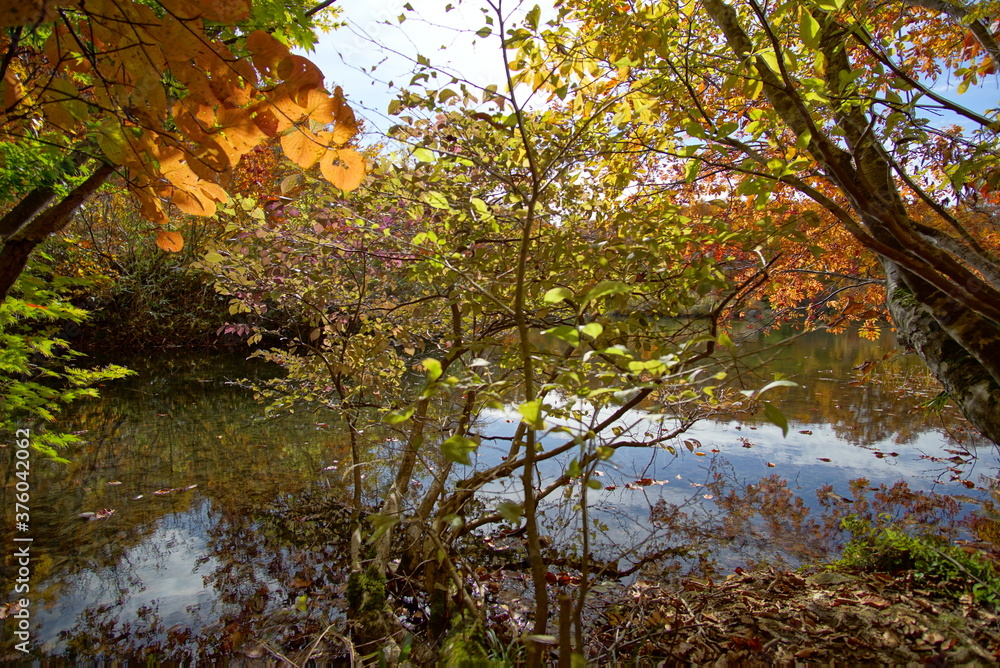 Autumn landscape. Autumn is a wonderful time of the year, with beautiful colors and a peaceful atmosphere around, Japan Autumn landscape. Autumn is a wonderful time of the year, with beautiful colors and a peaceful atmosphere around, Japan