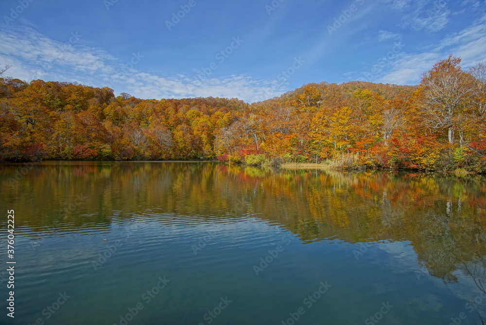 Autumn landscape. Autumn is a wonderful time of the year, with beautiful colors and a peaceful atmosphere around, Japan