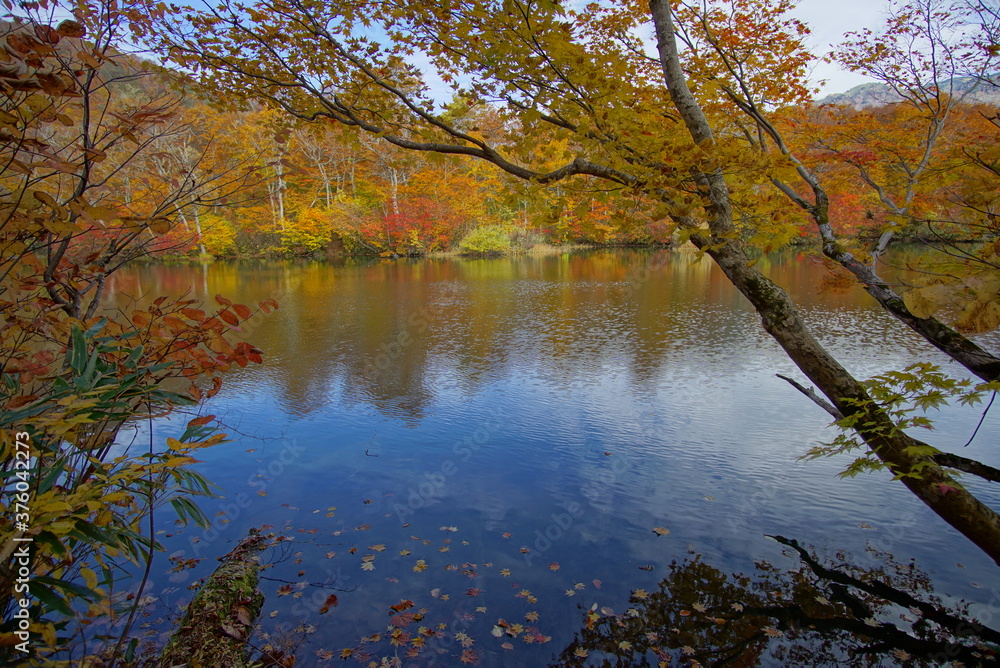 Autumn landscape. Autumn is a wonderful time of the year, with beautiful colors and a peaceful atmosphere around, Japan