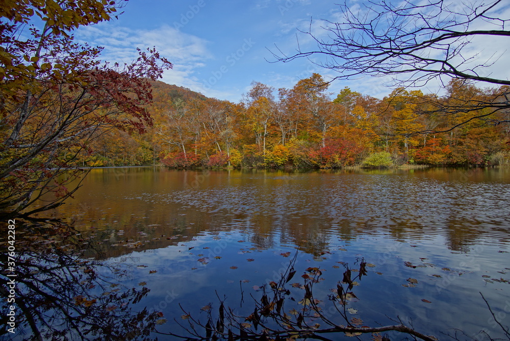 Autumn landscape. Autumn is a wonderful time of the year, with beautiful colors and a peaceful atmosphere around, Japan Autumn landscape. Autumn is a wonderful time of the year, with beautiful colors and a peaceful atmosphere around, Japan