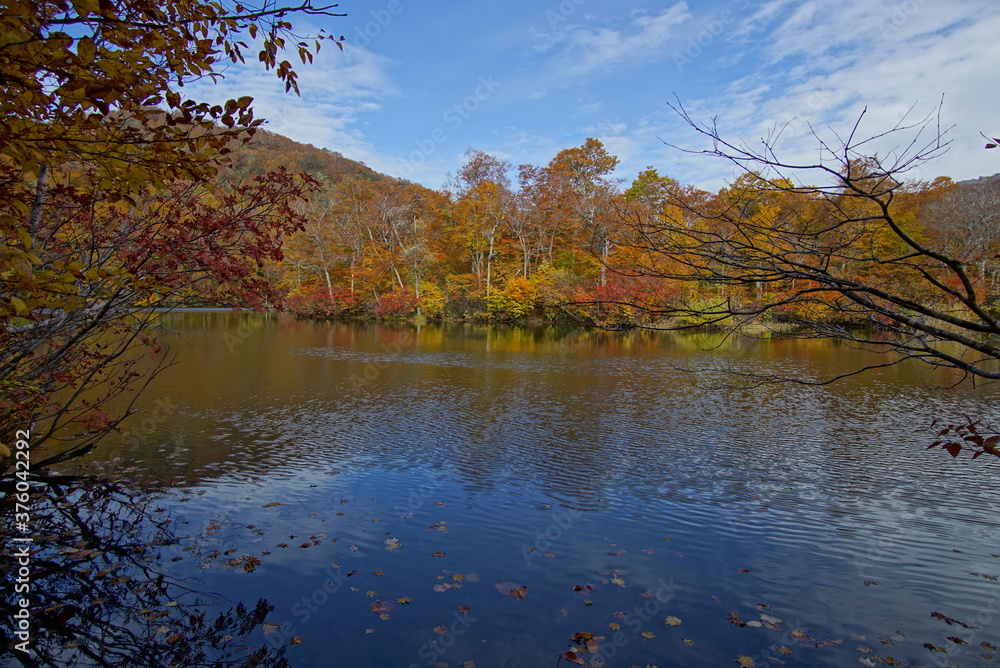 Fototapeta premium Autumn landscape. Autumn is a wonderful time of the year, with beautiful colors and a peaceful atmosphere around, Japan