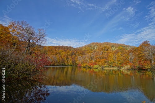 Autumn landscape. Autumn is a wonderful time of the year  with beautiful colors and a peaceful atmosphere around  Japan