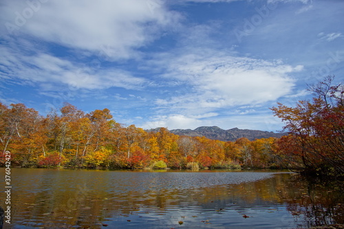 Autumn landscape. Autumn is a wonderful time of the year, with beautiful colors and a peaceful atmosphere around, Japan