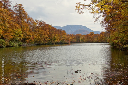 Soft autumn landscape view with the lake in Nagano  Japan.