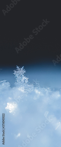 natural snowflakes on snow, photo real snowflakes during a snowfall, under natural conditions at low temperature. copy space and blue background