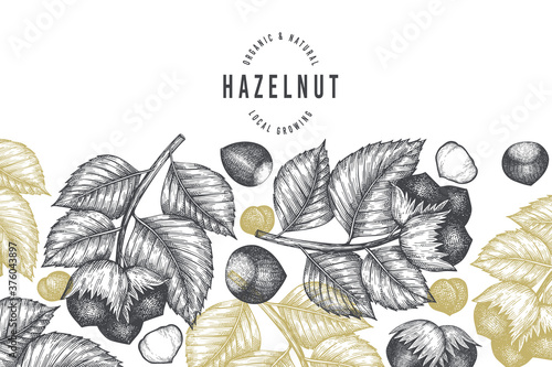 Hand drawn sketch hazelnut design template. Organic food vector illustration on white background. Vintage nut illustration. Engraved style botanical background.