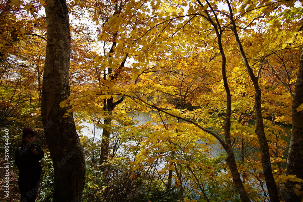 Colorful autumn landscape.Nature background. the lake in the autumnal forest, Japan Colorful autumn landscape.Nature background. the lake in the autumnal forest, Japan