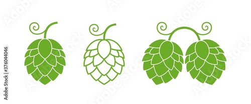 Hop logo. Isolated hop on white background. Branch 