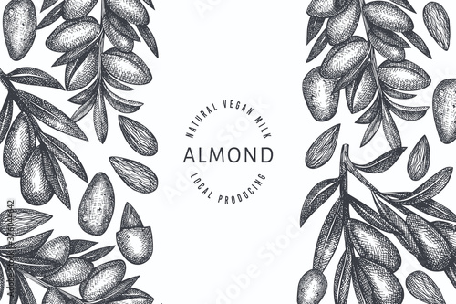Hand drawn sketch almond design template. Organic food vector illustration. Retro nut illustration. Engraved style botanical background.