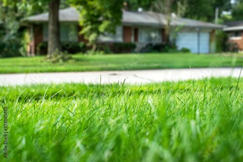 Closeup shallow focus green grass lawn and suburban residential home, sunshine, healthy lawn, dull lawnmower blade, damaged grass, new overseed grass, fertilizer, blades 
