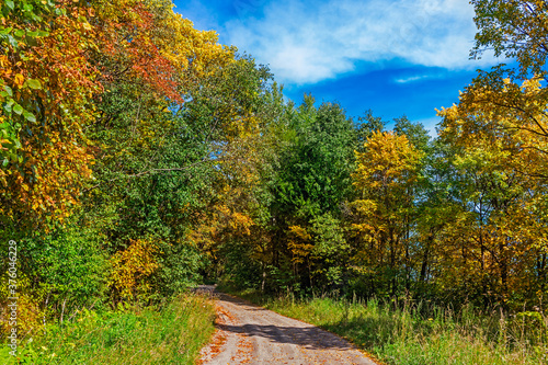 rural landscape with a path in the autumn forest