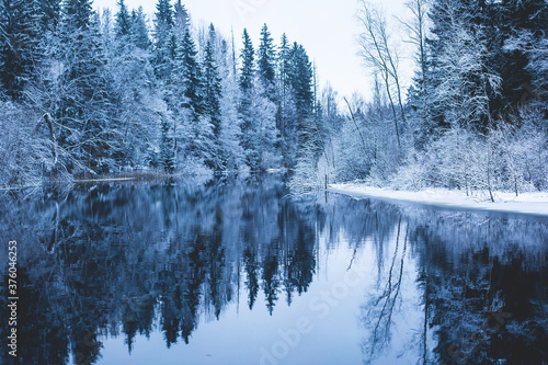 Winter forest landscape - trees covered snow and river with reflection