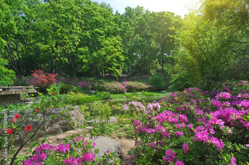 Fototapeta Naklejka Na Ścianę i Meble -  Wuhan East lake Forest Park scenery in spring